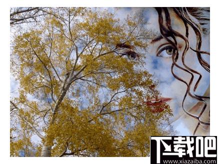 AKVIS Chameleon下载,图像处理,图像编辑,图像拼接